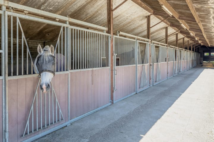 Foto 27 van Overloonseweg 95