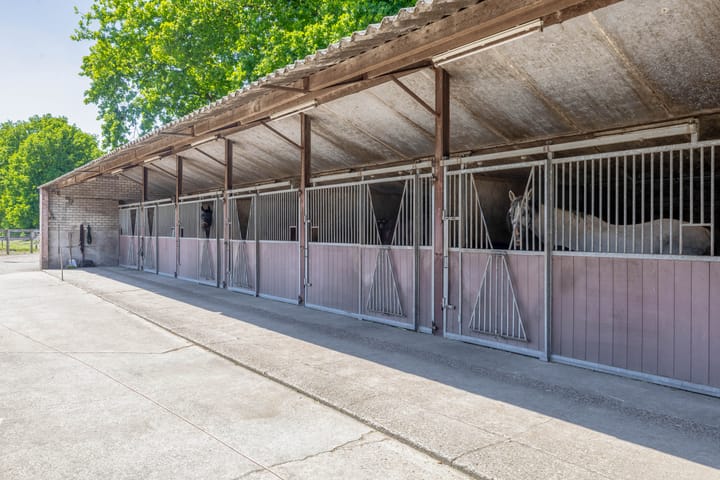 Foto 4 van Overloonseweg 95