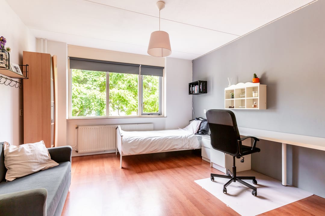 Foto 23 van Griend 11 21