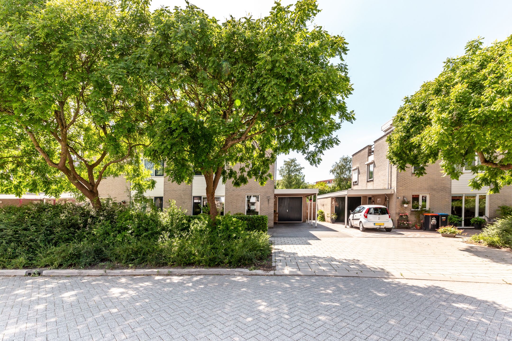 Foto 45 van Griend 11 21