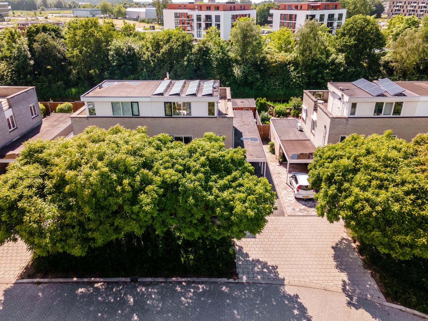 Foto 49 van Griend 11 21