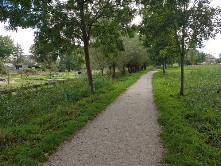 Foto 40 van Gustav Vasaborg 57