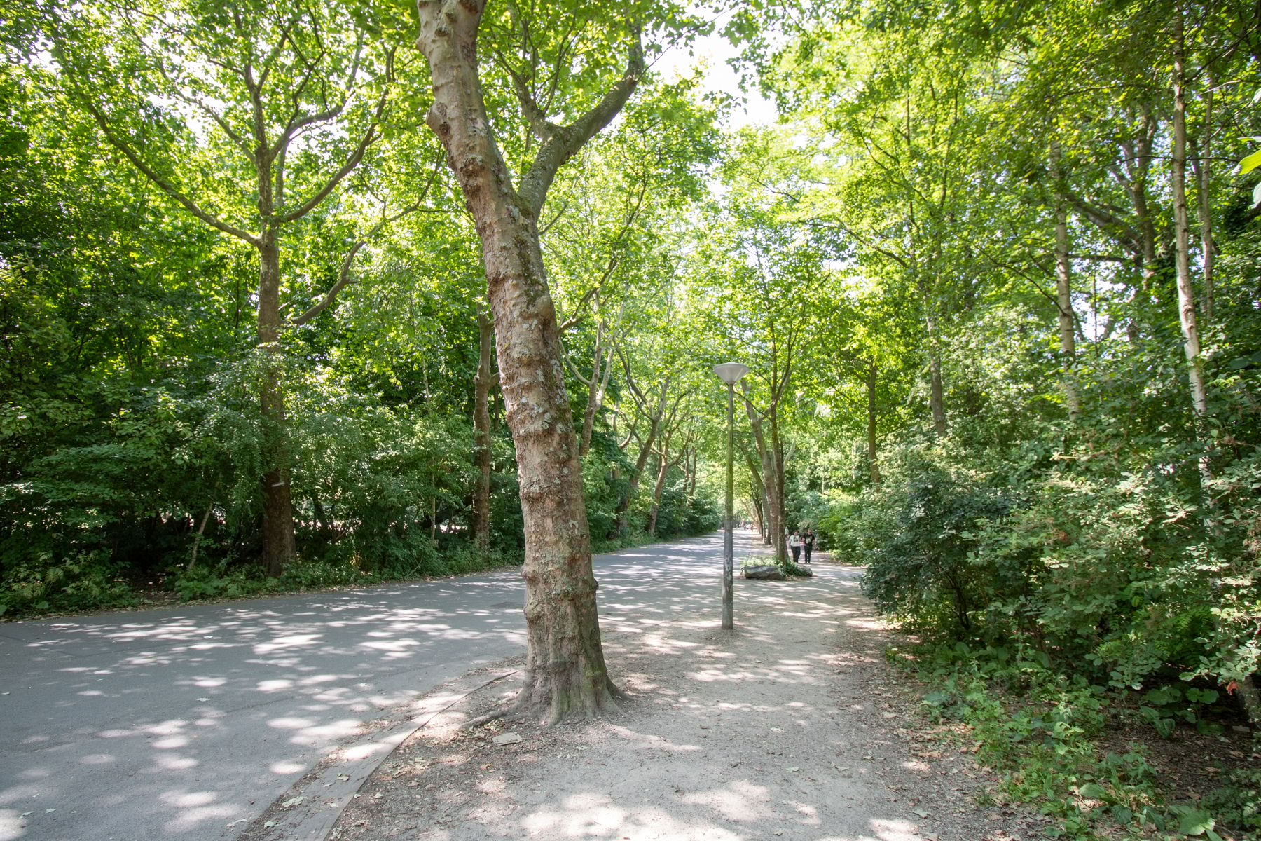 Foto 24 van Overtoom 420-3