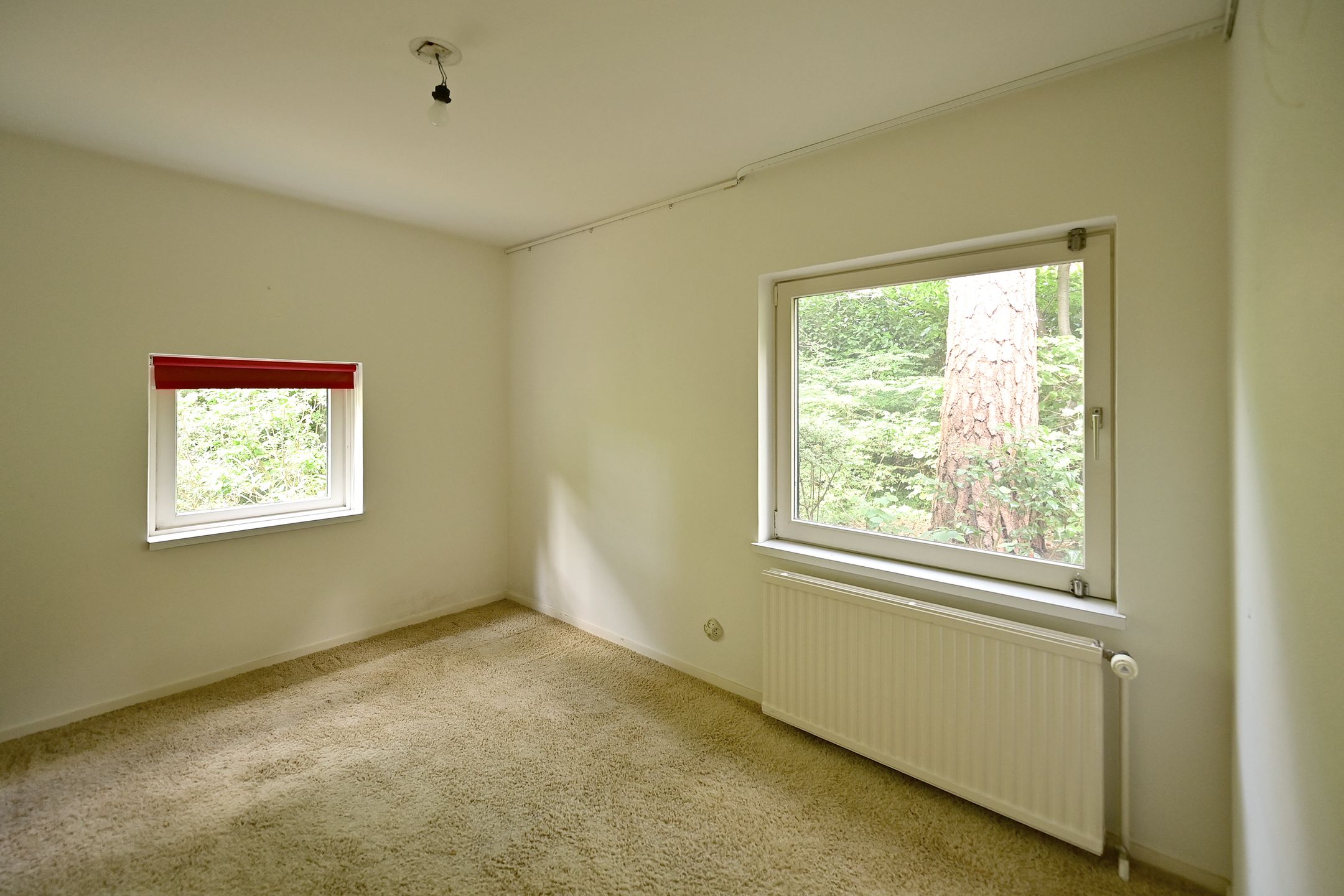 Foto 12 van Sterreboslaan 11