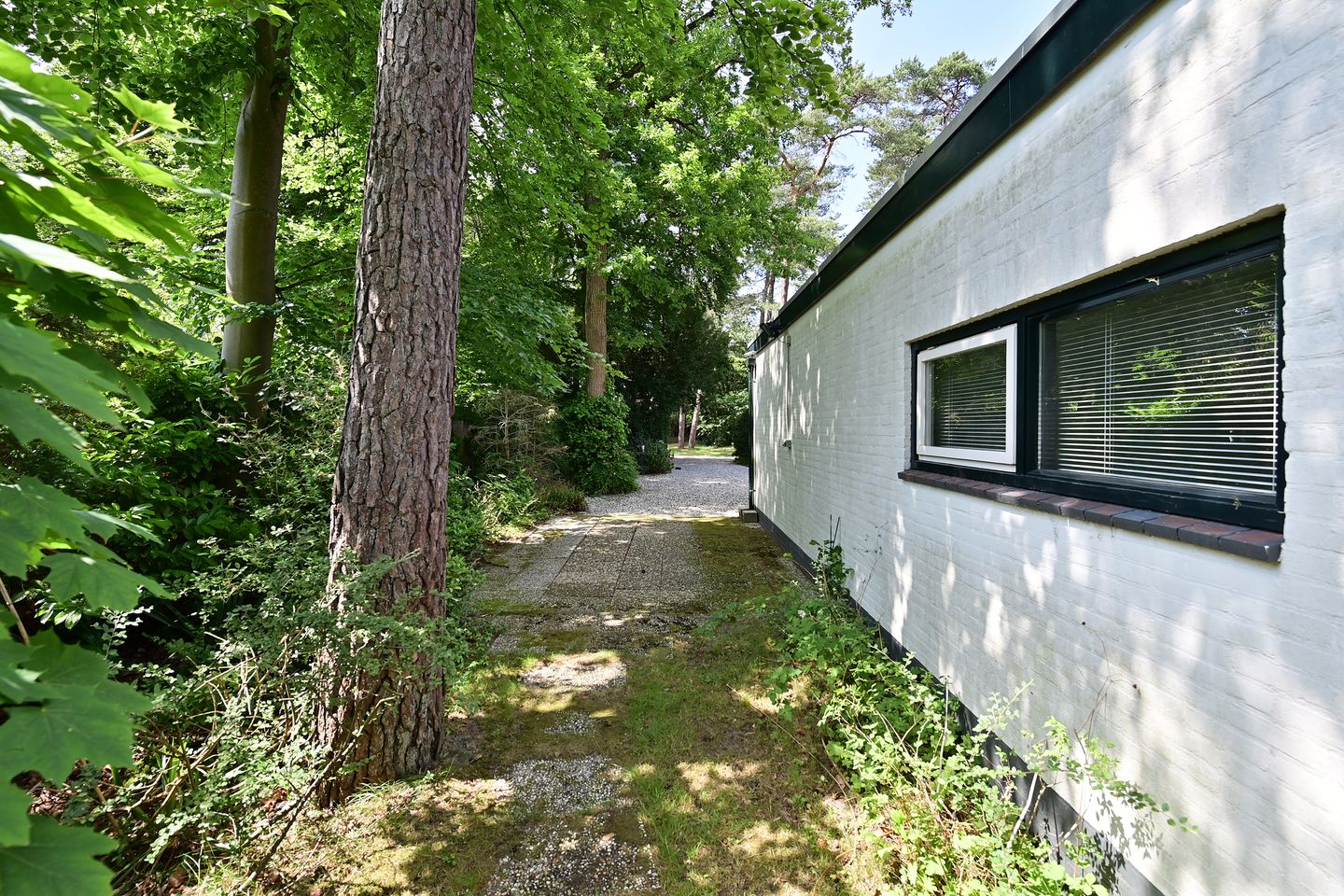 Foto 20 van Sterreboslaan 11