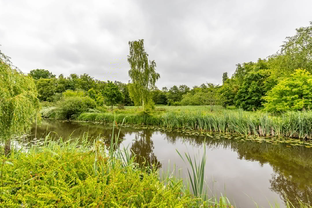 Photo 46 of Duurswoldlaan 30