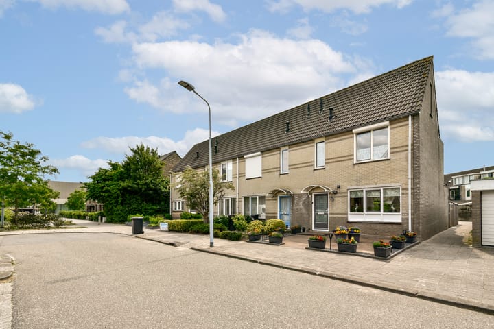 undefined main image