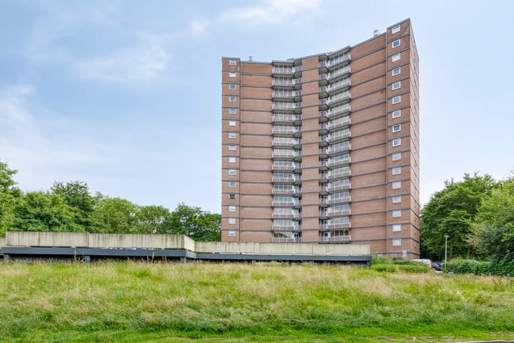 Foto 1 van Drieoortsput 82