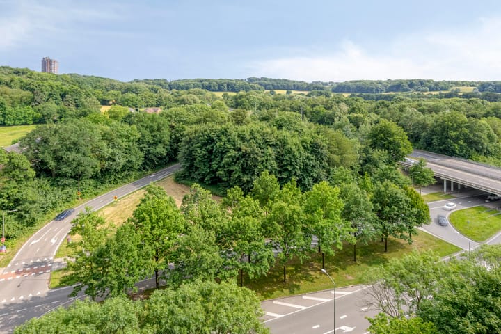 Foto 25 van Drieoortsput 82