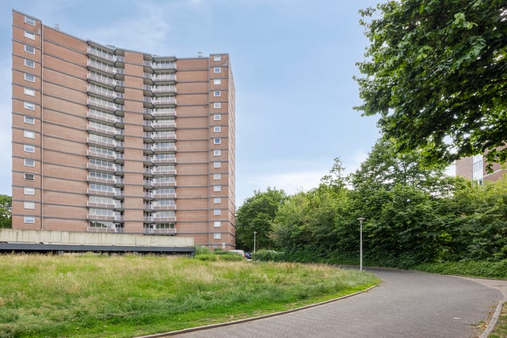 Foto 27 van Drieoortsput 82