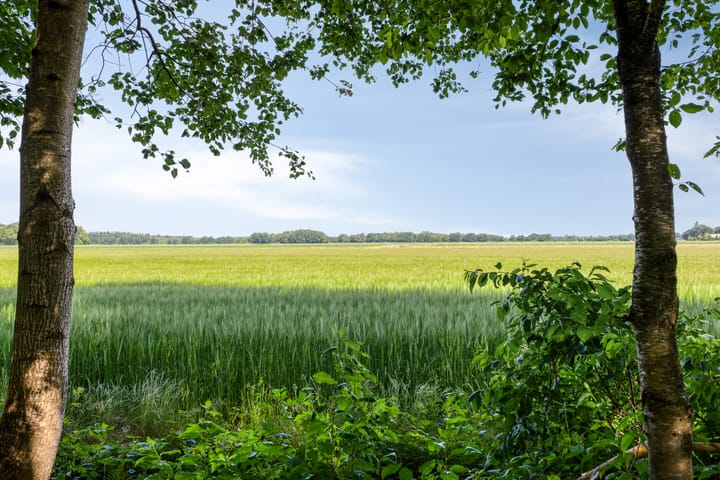 Foto 36 van Houtvester Jansenweg 2-202