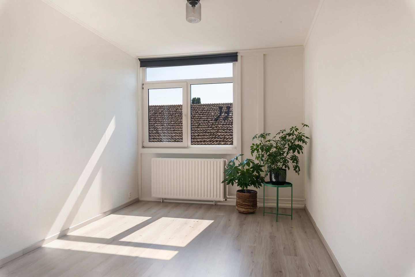 Foto 25 van Slangenburg 312