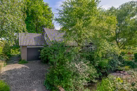 undefined main image