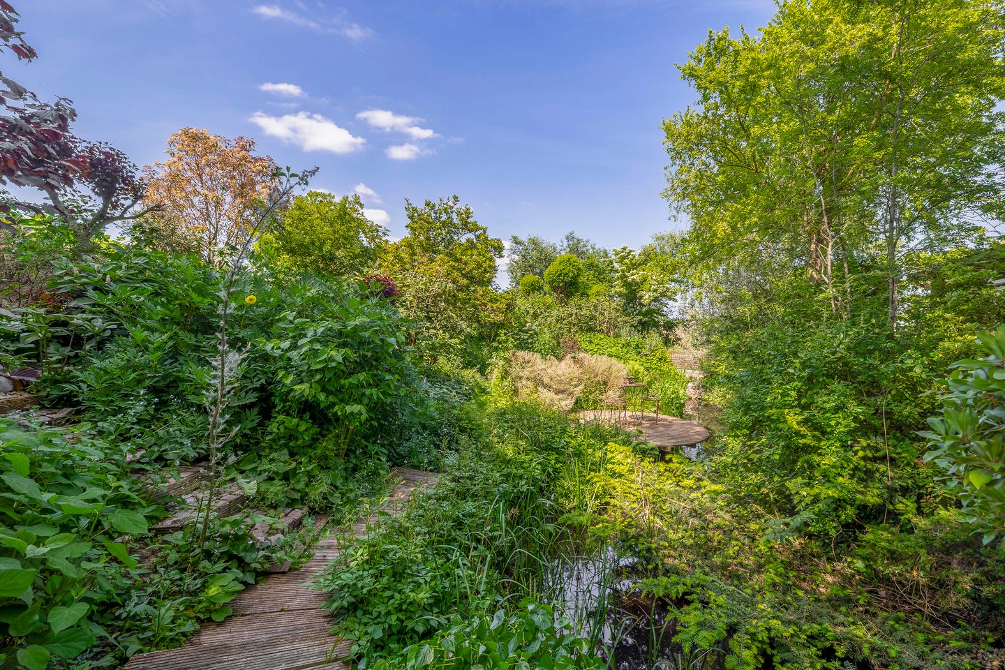 Foto 40 van Hoge Zeedijk 13