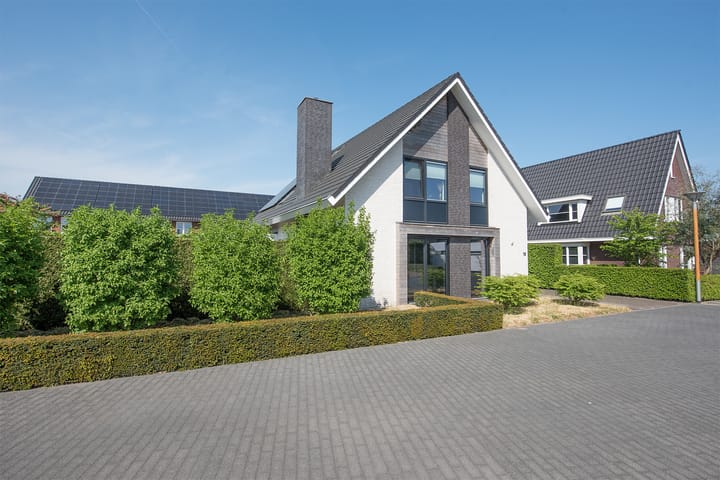 Foto 5 van Vijfvingerkruid 19