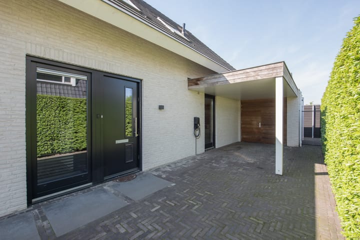 Foto 6 van Vijfvingerkruid 19