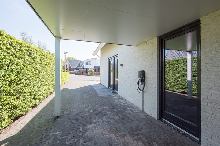 Foto 7 van Vijfvingerkruid 19