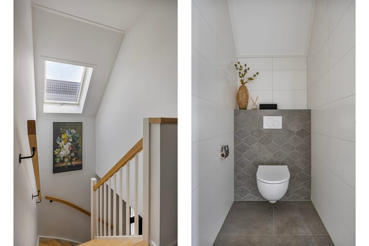 Foto 36 van Vijfvingerkruid 19