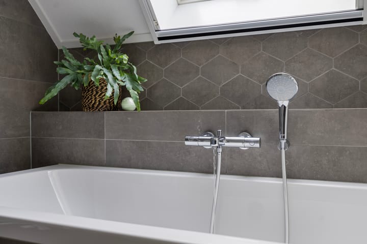 Foto 50 van Vijfvingerkruid 19