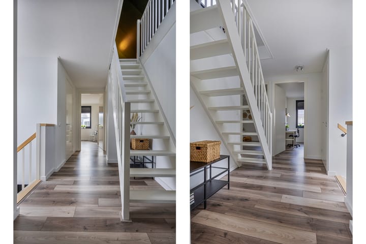 Foto 52 van Vijfvingerkruid 19