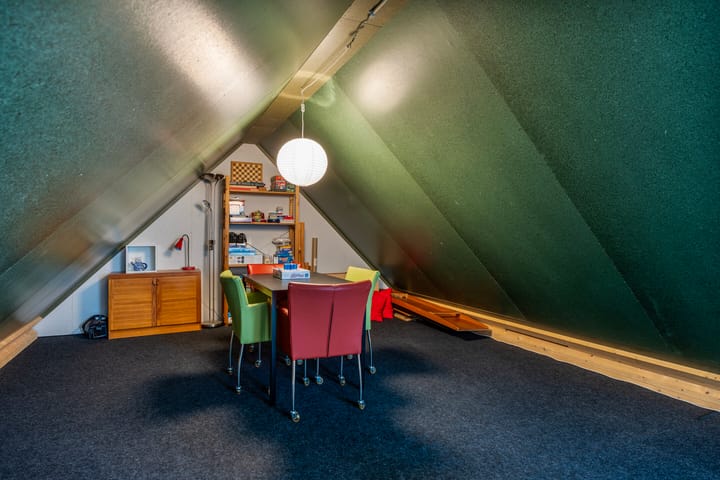 Foto 53 van Vijfvingerkruid 19