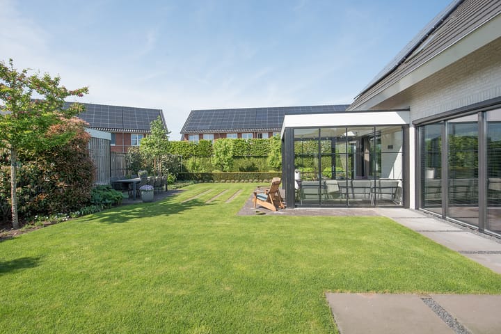 Foto 58 van Vijfvingerkruid 19