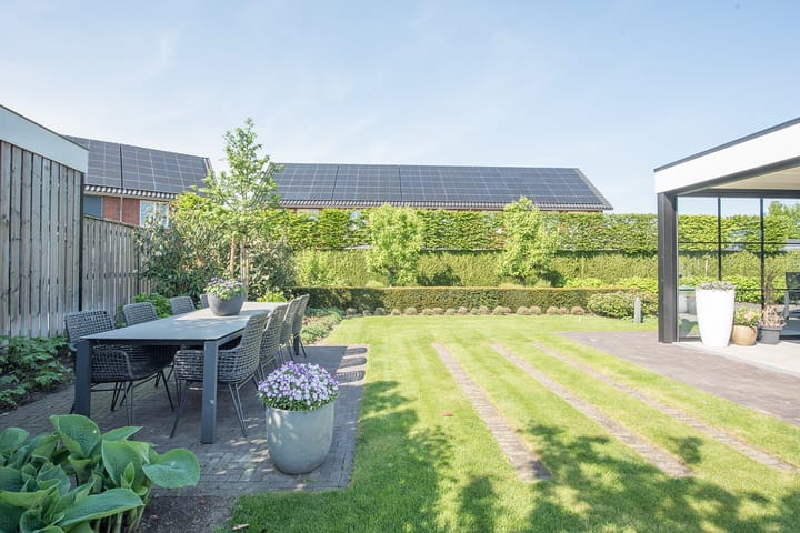 Foto 62 van Vijfvingerkruid 19