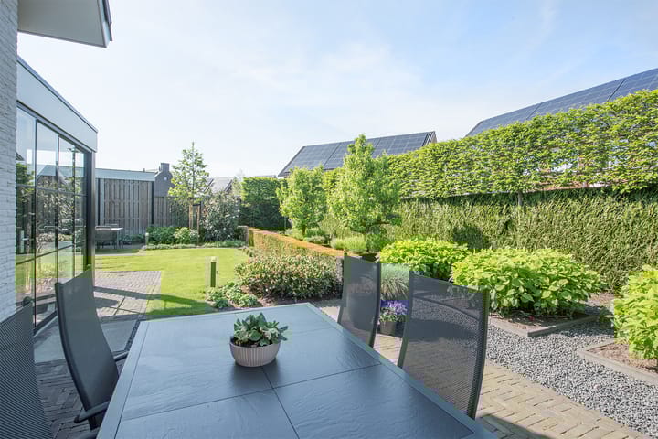 Foto 63 van Vijfvingerkruid 19