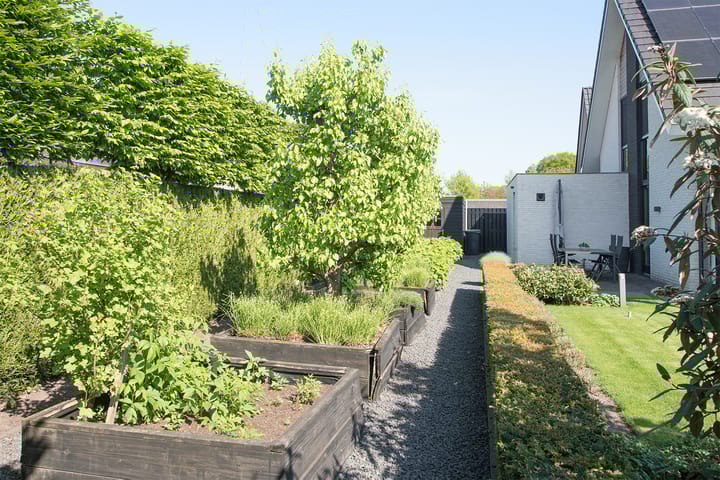 Foto 64 van Vijfvingerkruid 19