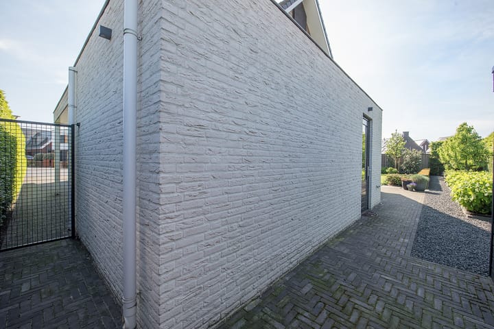 Foto 65 van Vijfvingerkruid 19