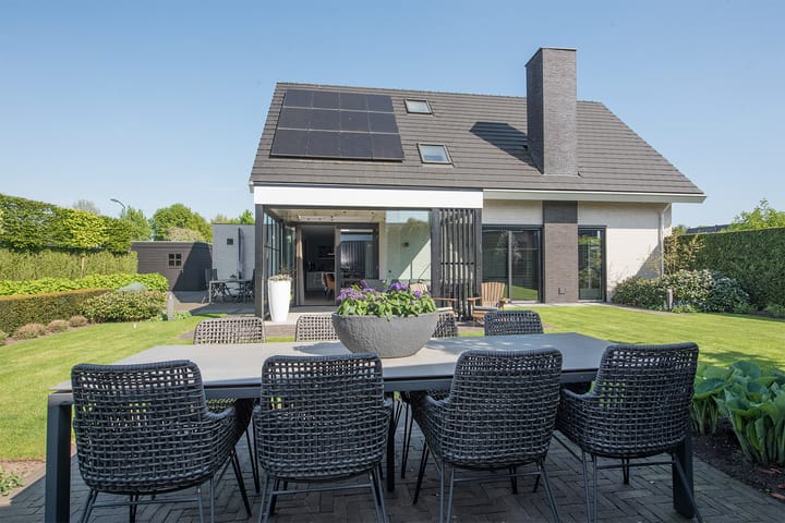 Foto 68 van Vijfvingerkruid 19