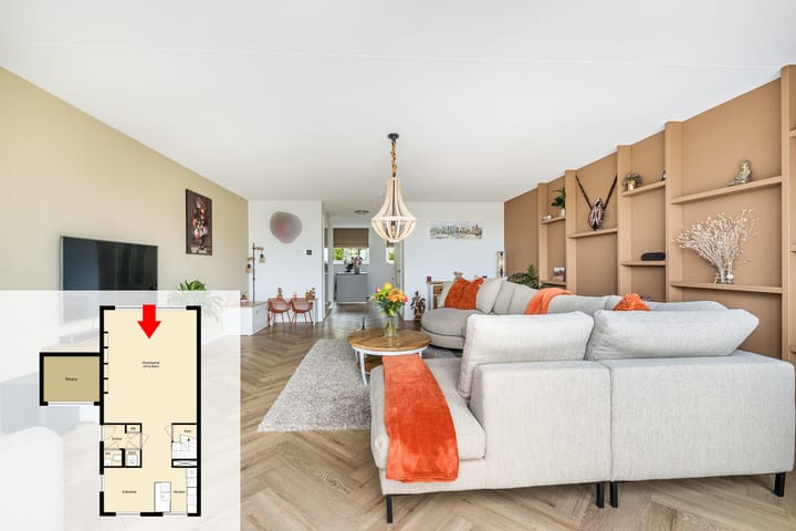 Foto 15 van Korenbloem 15