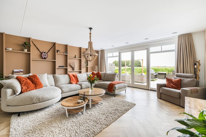 Foto 20 van Korenbloem 15