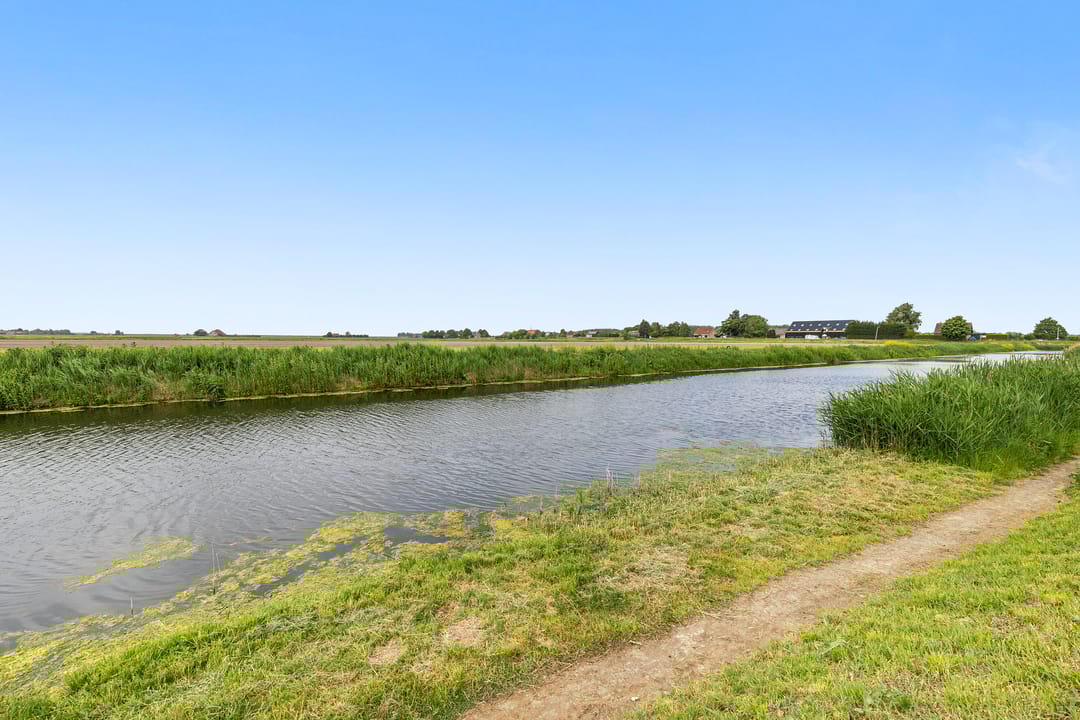 Foto 28 van Korenbloem 15