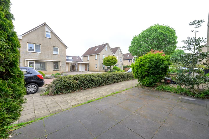 Foto 28 van Blauwe Beer 19