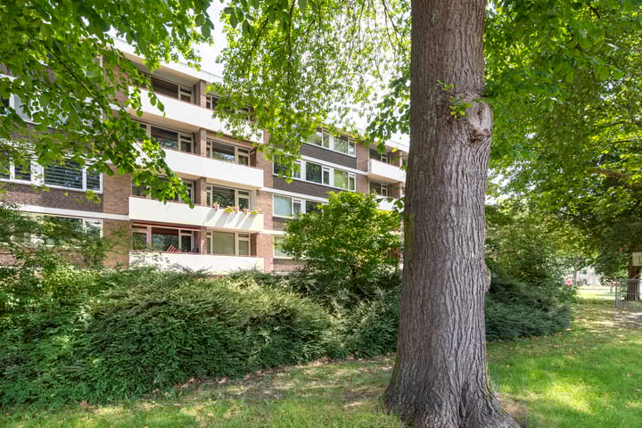 Photo 35 of Prof. Dr. Bakkerlaan 81