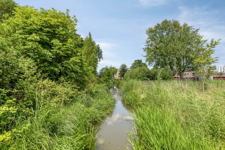 Foto 26 van Zoutmanstraat 46