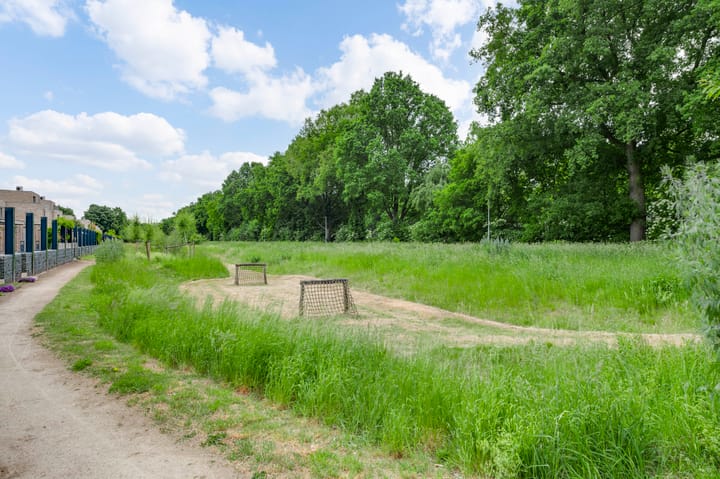 Photo 42 of Amaliastraat 18