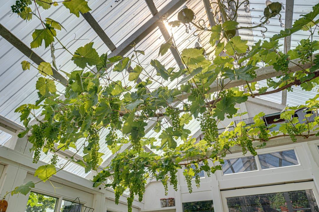 Foto 41 van Catalijneweg 47