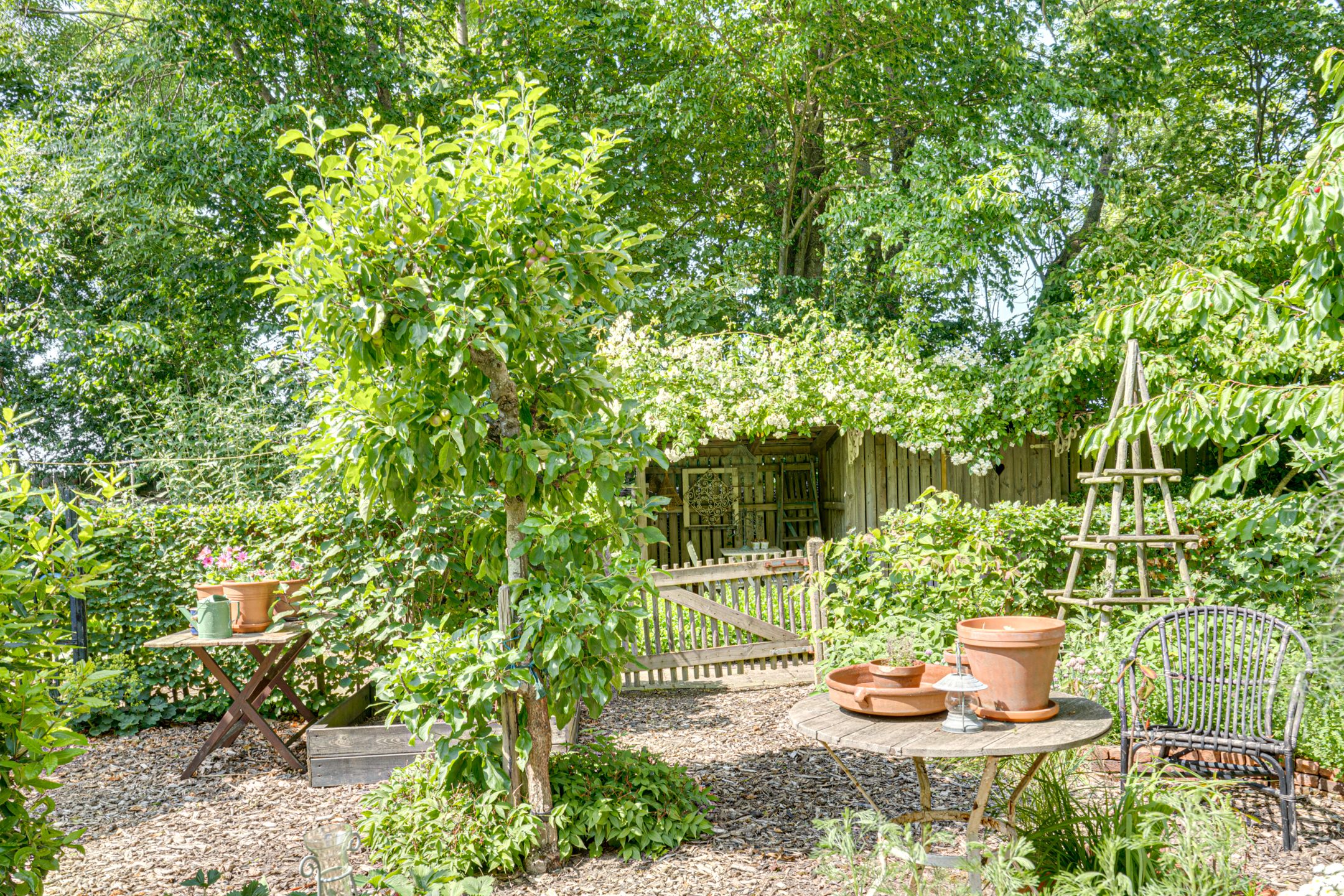 Foto 42 van Catalijneweg 47