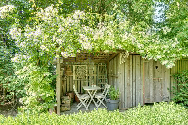 Foto 43 van Catalijneweg 47