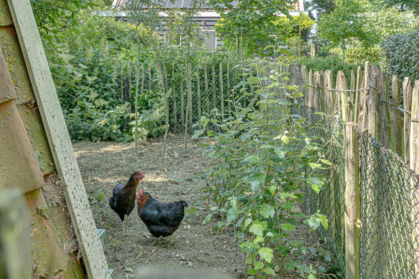 Foto 49 van Catalijneweg 47