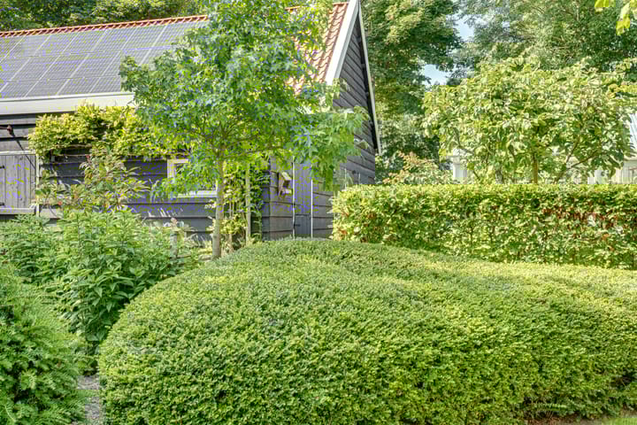 Foto 51 van Catalijneweg 47