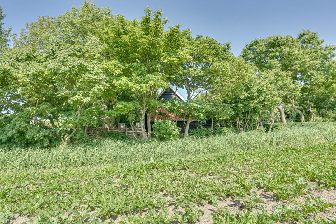 Foto 58 van Catalijneweg 47