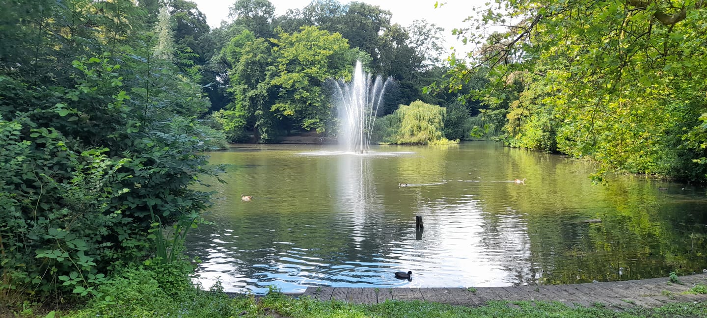 Foto 25 van Burgemeester Norbruislaan 492