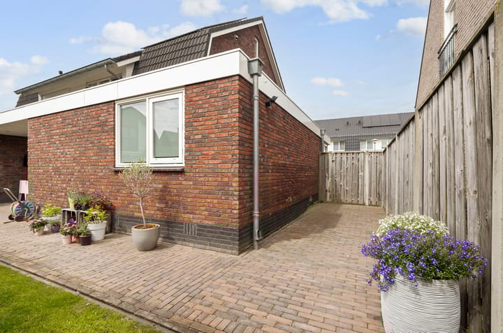 Foto 29 van Ziggel 11