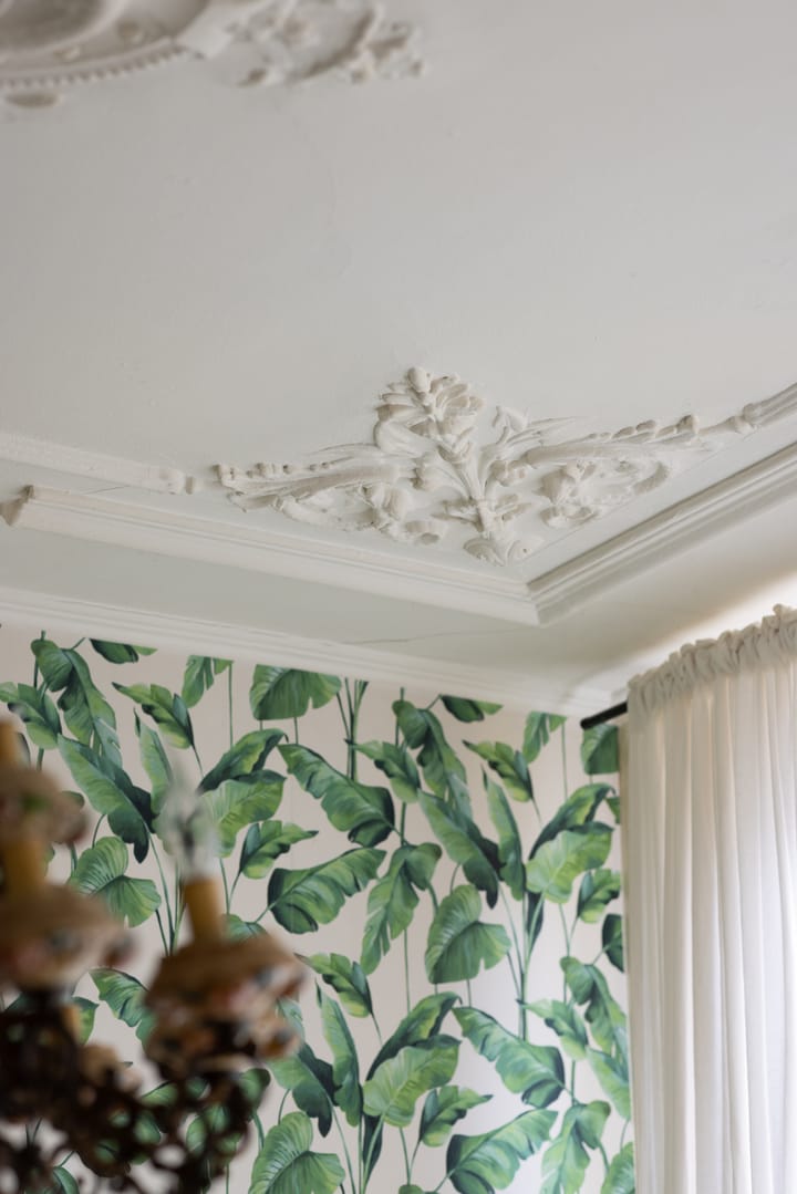 Foto 9 van Tollensstraat 40-B