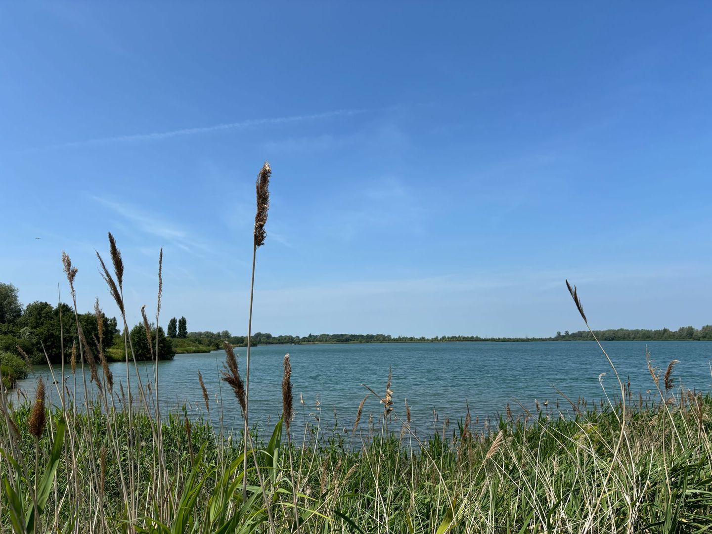 Foto 34 van Camphuysenstraat 37