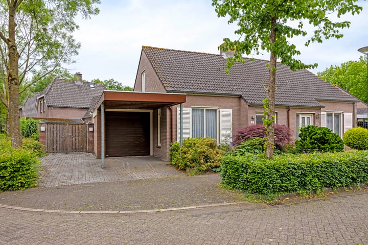undefined main image