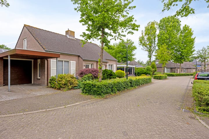 Photo 30 of Klaproos 68